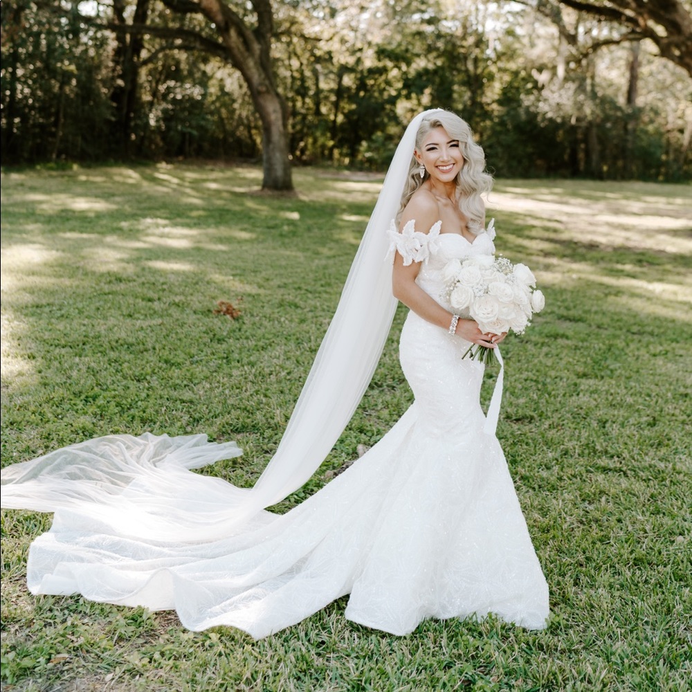 Pronovias Atelier Hechizo Dress